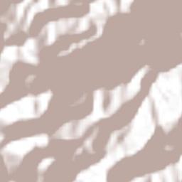 San Antonio Coyahuacán Terrain Map