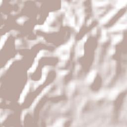 Mariscala de Juárez Terrain Map