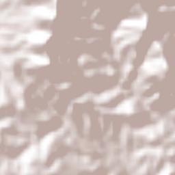 Zapotitlán Palmas Terrain Map