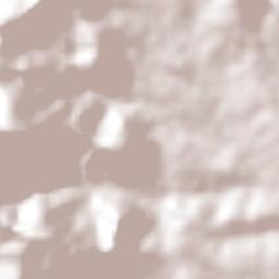 Santiago Ihuitlán Plumas Terrain Map