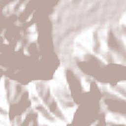 San Felipe Usila Terrain Map