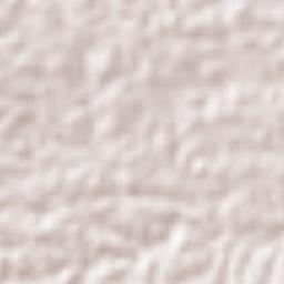 Sayula de Alemán Terrain Map