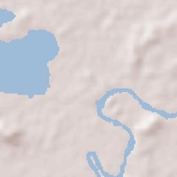 Las Lomas de Tacamichapan Terrain Map