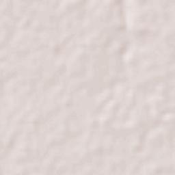 Mecatepec Terrain Map