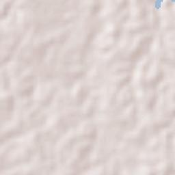 El Carmen (El Limón) Terrain Map