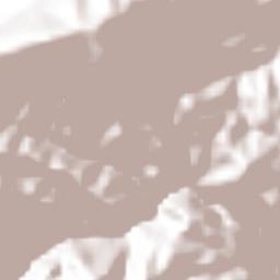 Carrizalillo Terrain Map