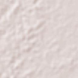 Pueblo Nuevo de las Raíces Terrain Map