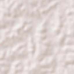 Veinte de Noviembre Terrain Map