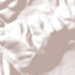 Axaxacualco Terrain Map