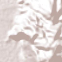 Huamuxtitlán Terrain Map