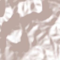 Santa Magdalena Jicotlán Terrain Map