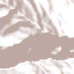 Santos Reyes Pápalo Terrain Map