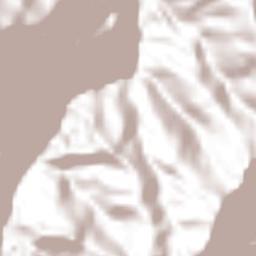 San Juan Zapotitlán Terrain Map