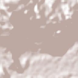 Valle Nacional Terrain Map