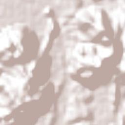 Vega del Sol Terrain Map