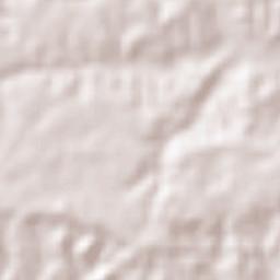 Abasolo del Valle Terrain Map