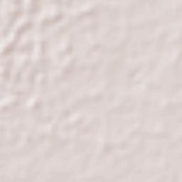 Río de Teapa Terrain Map