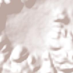 Huitziltepec Terrain Map