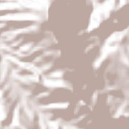 Chiaucingo Terrain Map