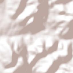 Zapotitlán Lagunas Terrain Map