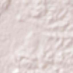 Achotal de Moreno Terrain Map