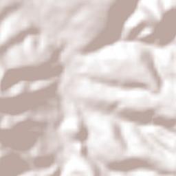 Coixtlahuaca Terrain Map