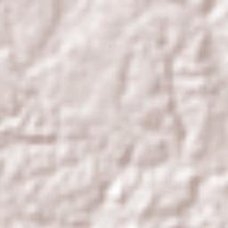 Santa Teresa Terrain Map