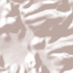 Acatlán Terrain Map