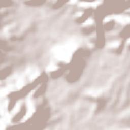 San Jorge Nuchita Terrain Map