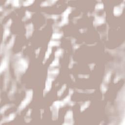 San Sebastián del Monte Terrain Map