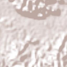 San Antonio las Palmas Terrain Map