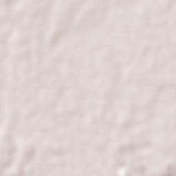 Chontalpa Terrain Map