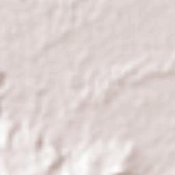 Buena Vista (Apasco) Terrain Map