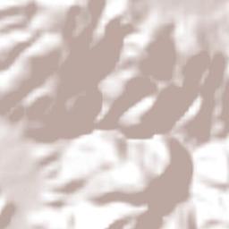 Pantitlán Terrain Map