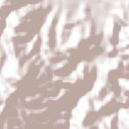 San Lorenzo Victoria Terrain Map