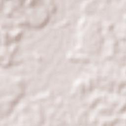 Nuevo Ixcatlán Terrain Map