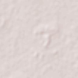 Nuevo Nicapa Terrain Map