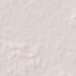 Juan Aldama Terrain Map