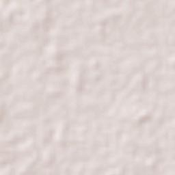 Apatzingán Terrain Map