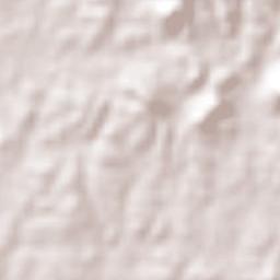 Los Achotes Terrain Map