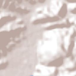 Tixtla de Guerrero Terrain Map