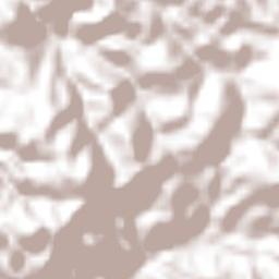 Santa Cruz de Bravo Terrain Map