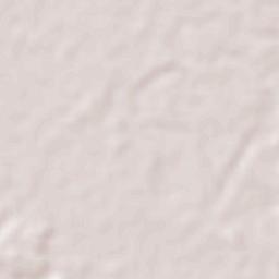 Tacotalpa Terrain Map