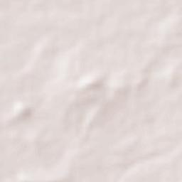 Palwancha Terrain Map