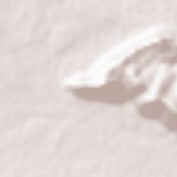 Paloncha Terrain Map