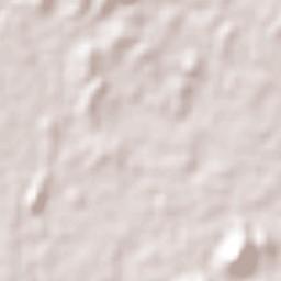 Palos Blancos Terrain Map