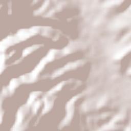 Chilpancingo Terrain Map