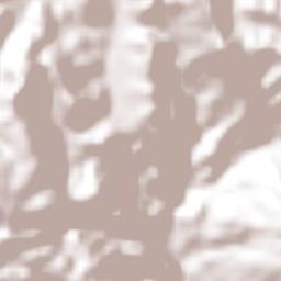 Cuauhtenango Terrain Map