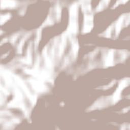 Santa Catarina Terrain Map