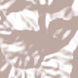 San Antonino Monte Verde Terrain Map